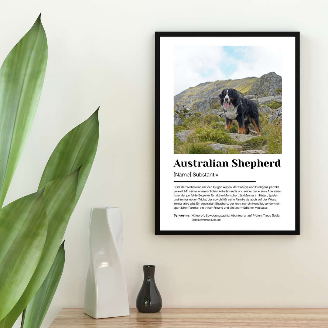 Fotoposter Definition Australian Shepherd personalisiert