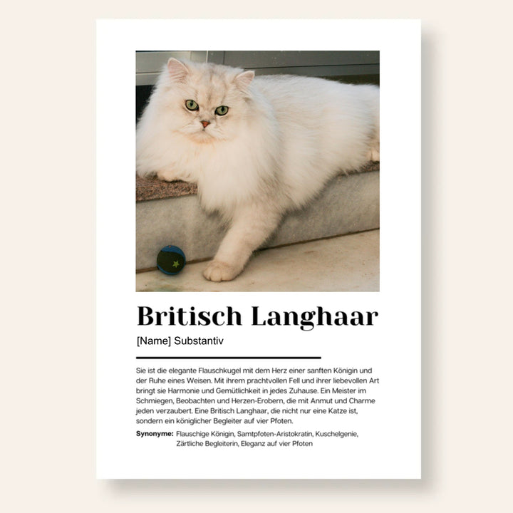 Fotoposter Definition Britisch Langhaar personalisiert