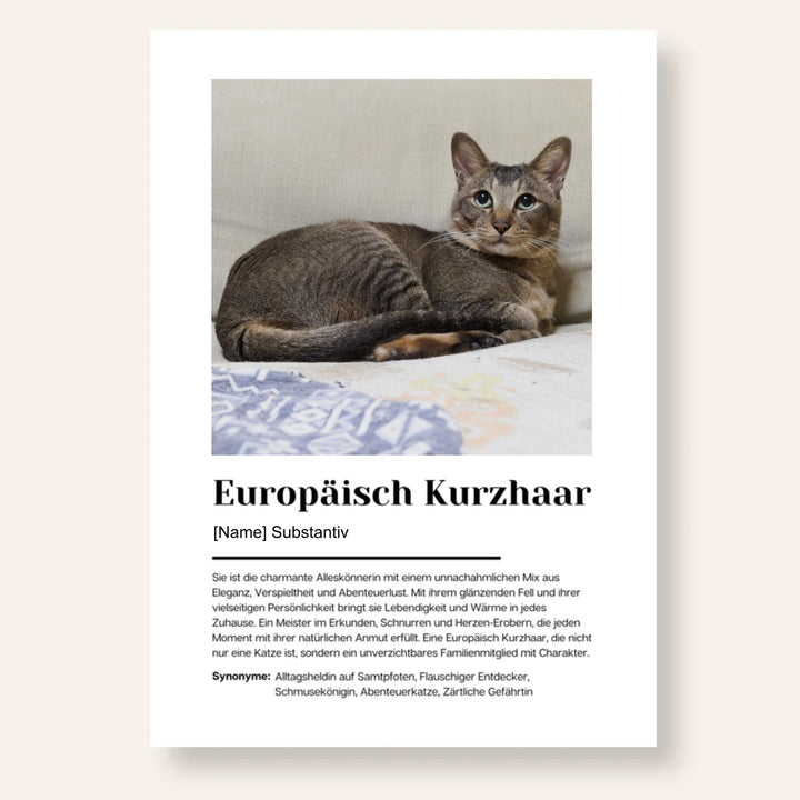 Fotoposter Definition Europäisch Kurzhaar personalisiert