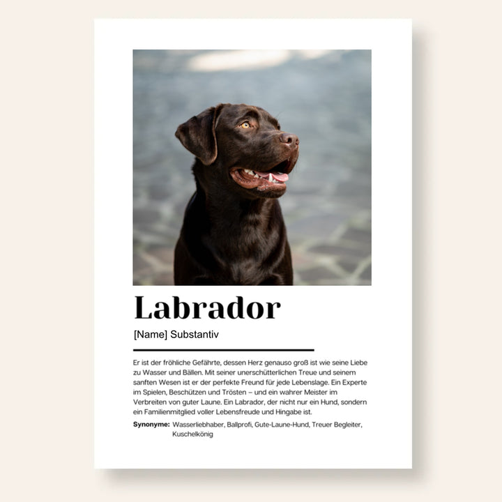 Fotoposter Definition Labrador personalisiert