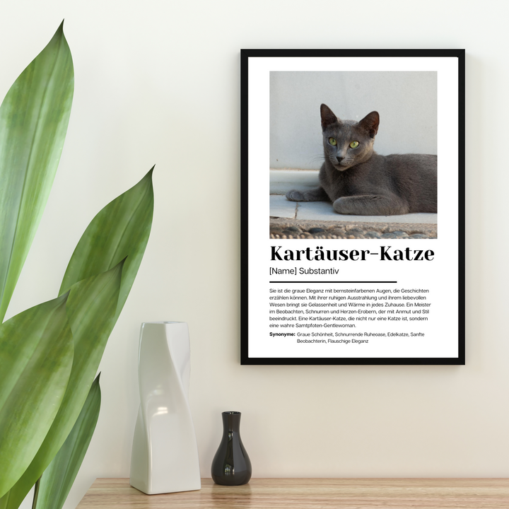 Fotoposter Definition Kartäuser Katze personalisiert