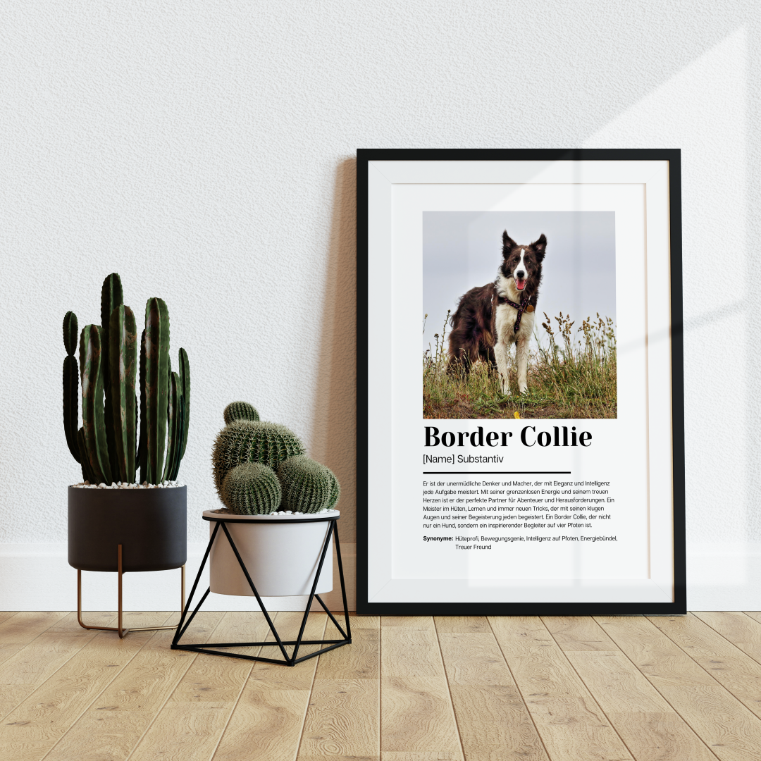 Fotoposter Definition Border Collie personalisiert