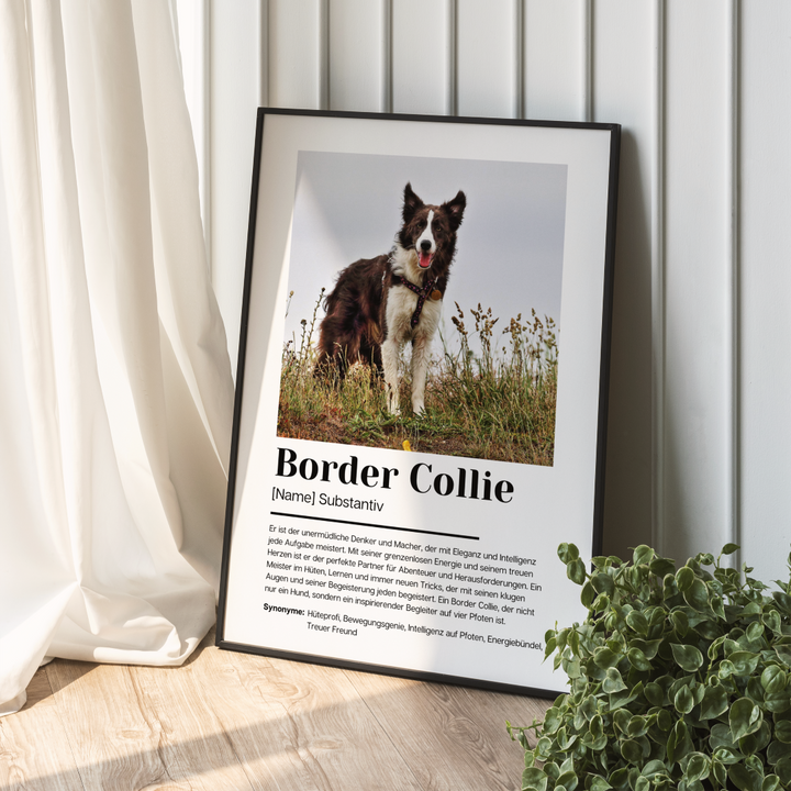 Fotoposter Definition Border Collie personalisiert