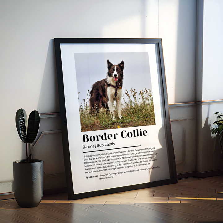 Fotoposter Definition Border Collie personalisiert