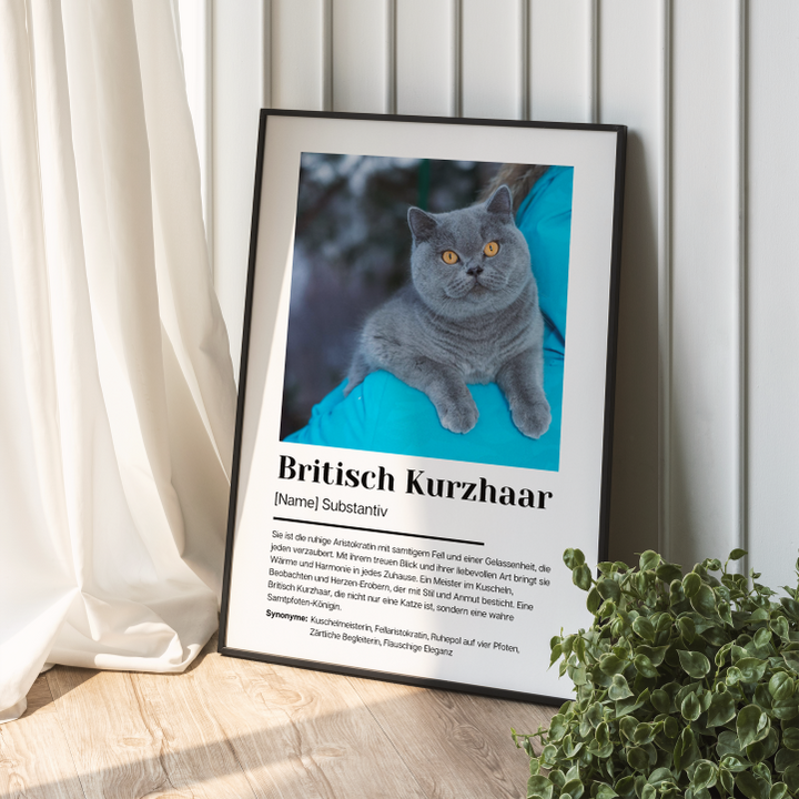 Fotoposter Definition Britisch Kurzhaar personalisiert