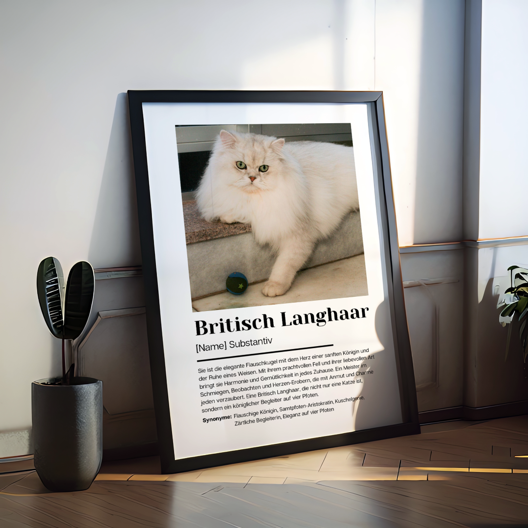 Fotoposter Definition Britisch Langhaar personalisiert