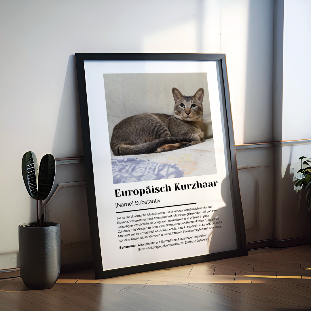 Fotoposter Definition Europäisch Kurzhaar personalisiert