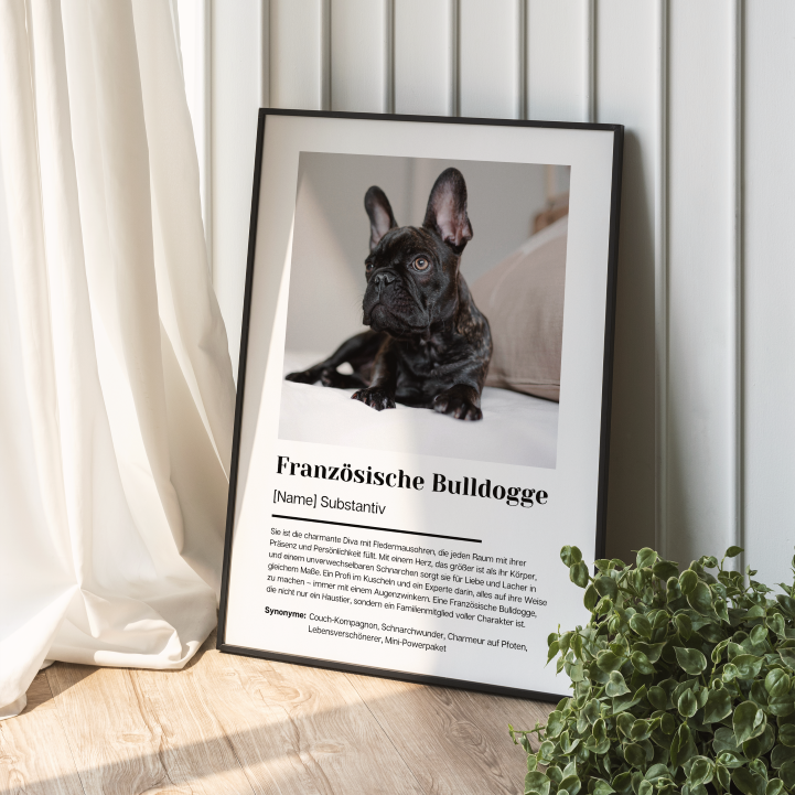 Fotoposter Definition Französische Bulldogge personalisiert