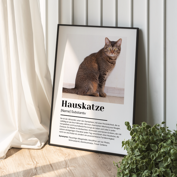 Fotoposter Definition Hauskatze personalisiert