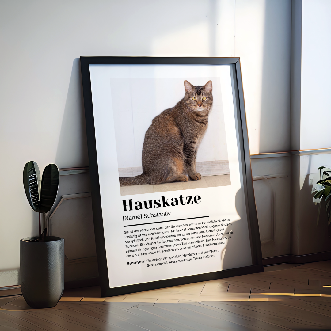 Fotoposter Definition Hauskatze personalisiert