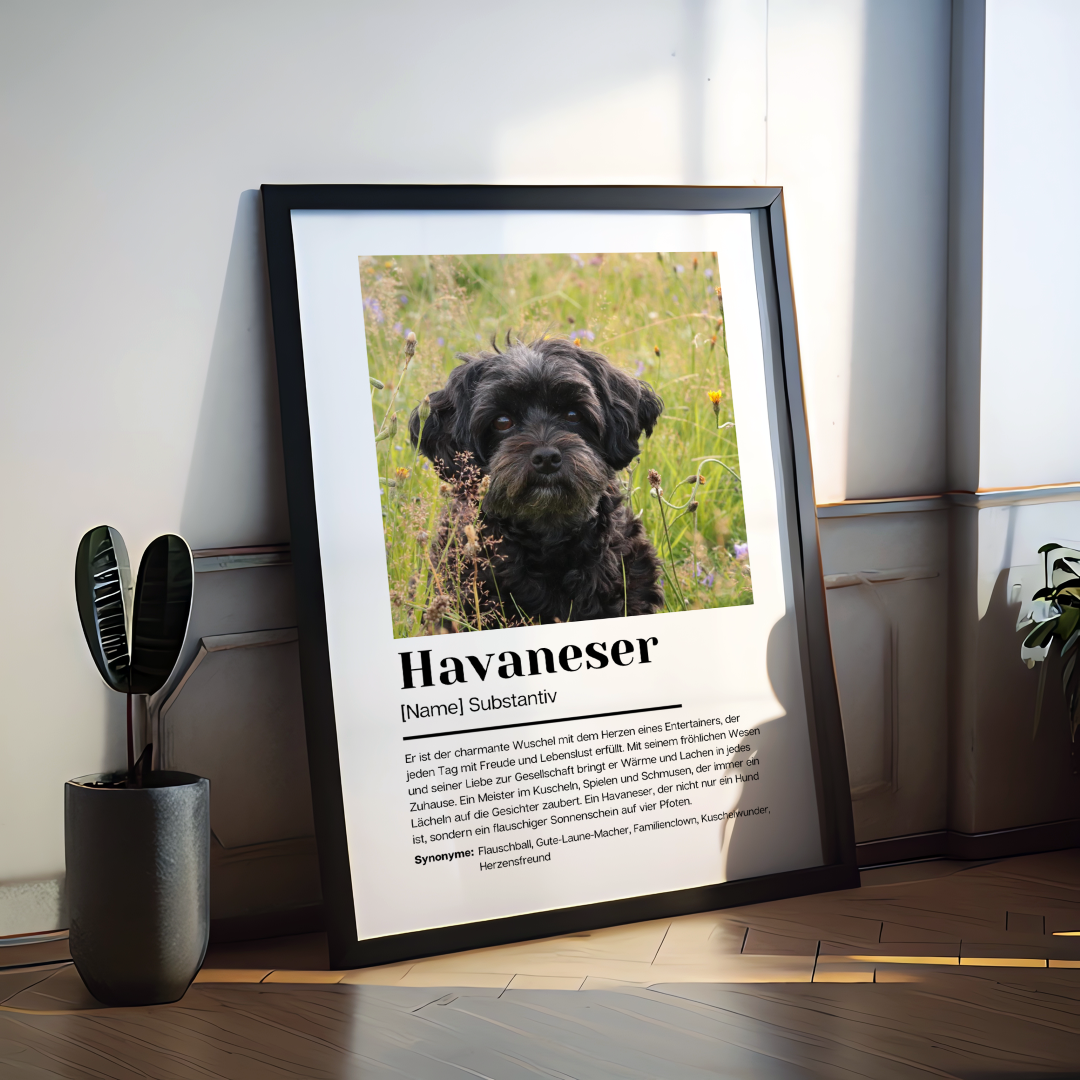 Fotoposter Definition Havaneser personalisiert