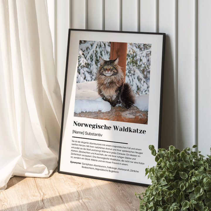 Fotoposter Definition Norwegische Waldkatze personalisiert