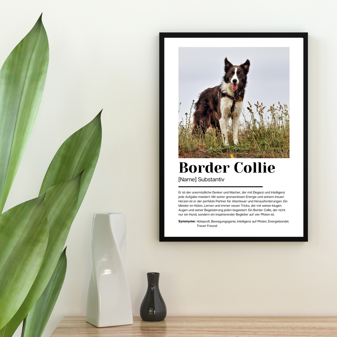 Fotoposter Definition Border Collie personalisiert