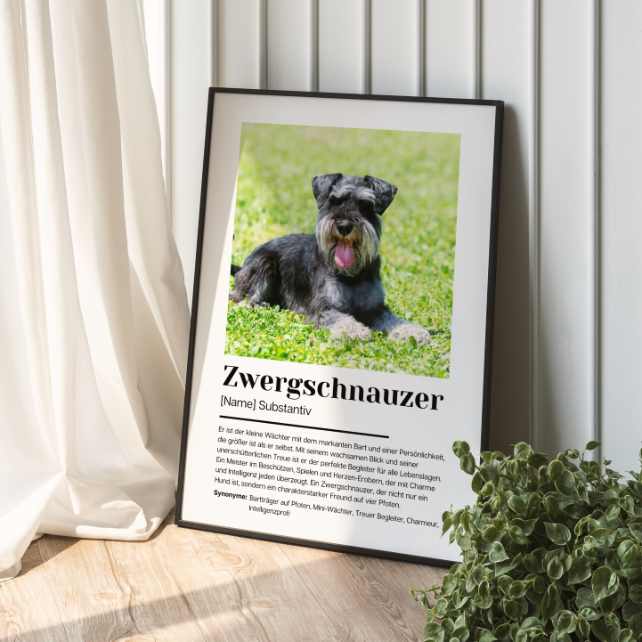 Fotoposter Definition Zwergschnauzer personalisiert