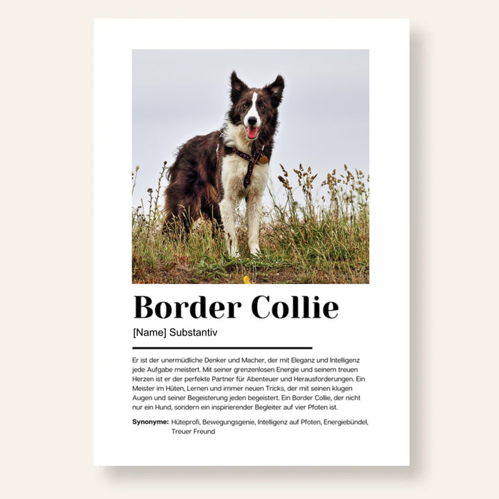 Fotoposter Definition Border Collie personalisiert