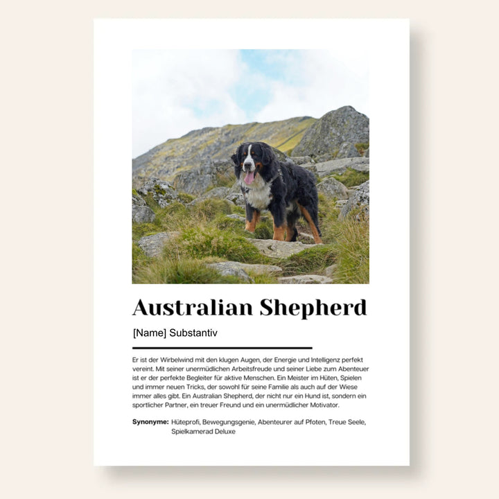 Fotoposter Definition Australian Shepherd personalisiert