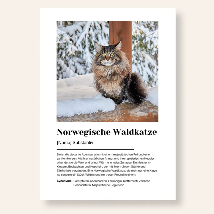 Fotoposter Definition Norwegische Waldkatze personalisiert