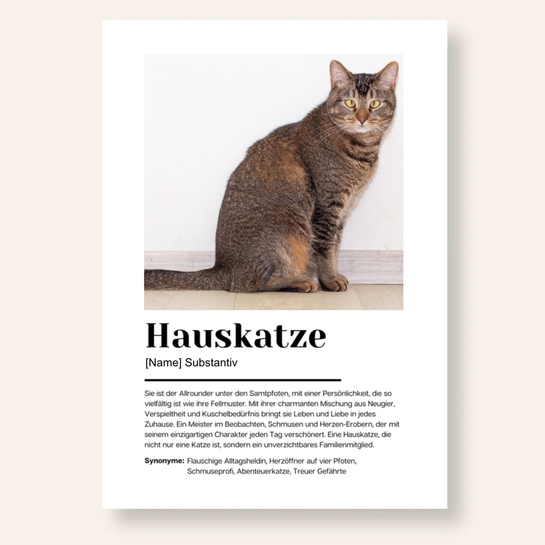 Fotoposter Definition Hauskatze personalisiert